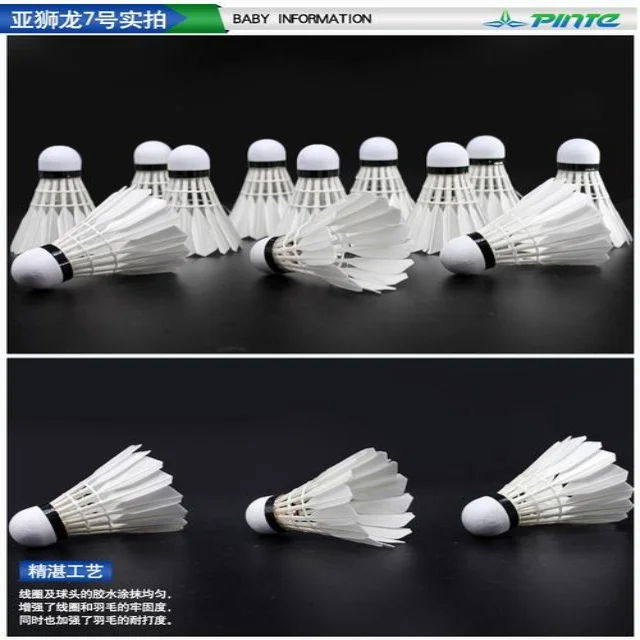 全球体育赛事资讯一网打尽：赛程热点抢先看